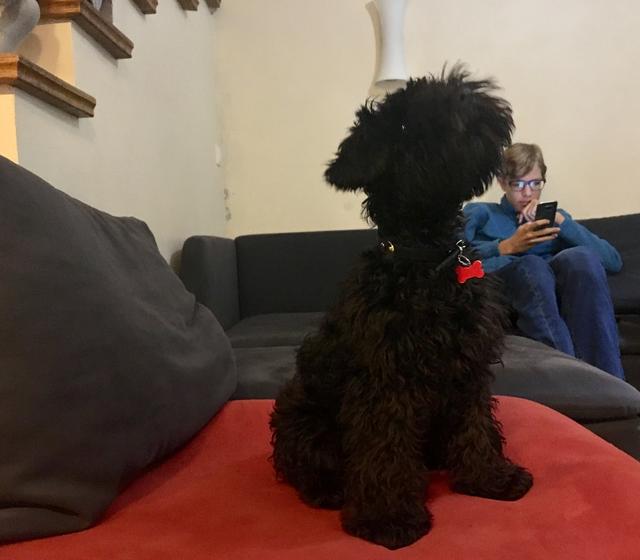 C6_CC5776-00_E7-4_A24-9_FF0-_F42_CF04_E9