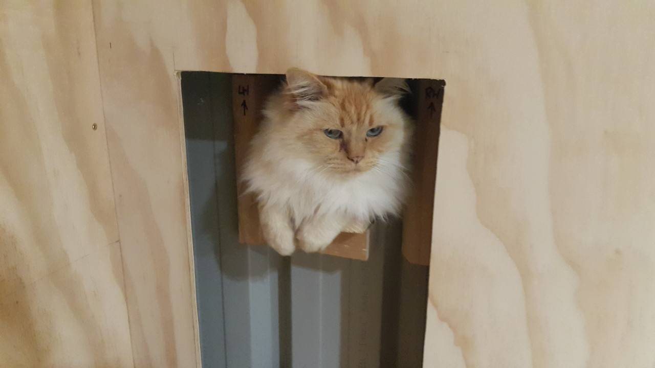 20210502_182605 (Large)