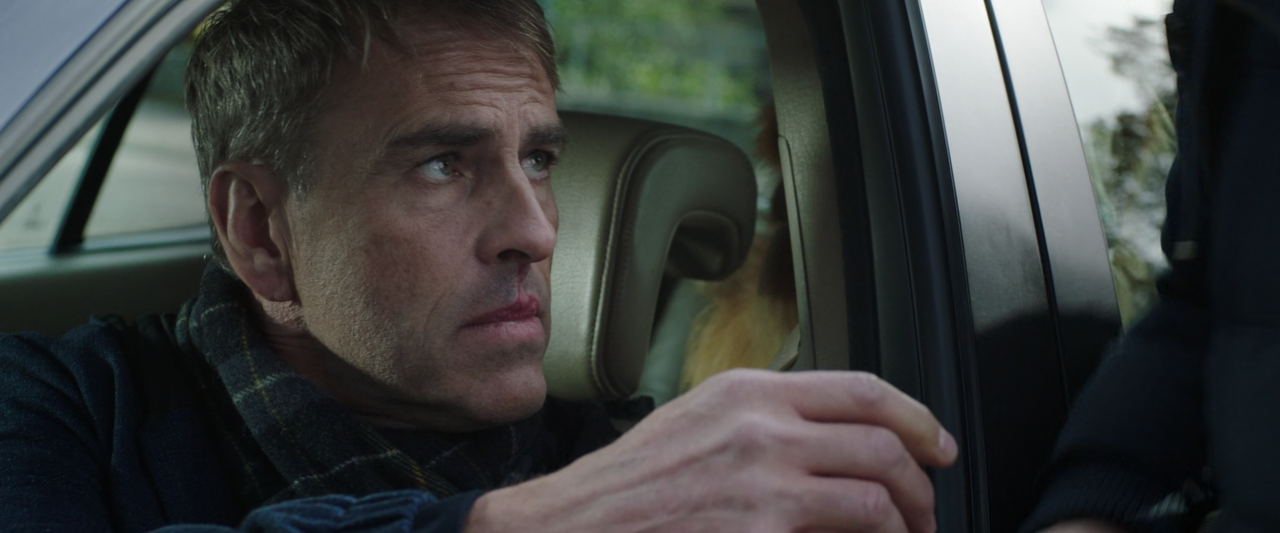 Raw (2016) (1080p Bluray x265 HEVC 10bit AAC 5.1