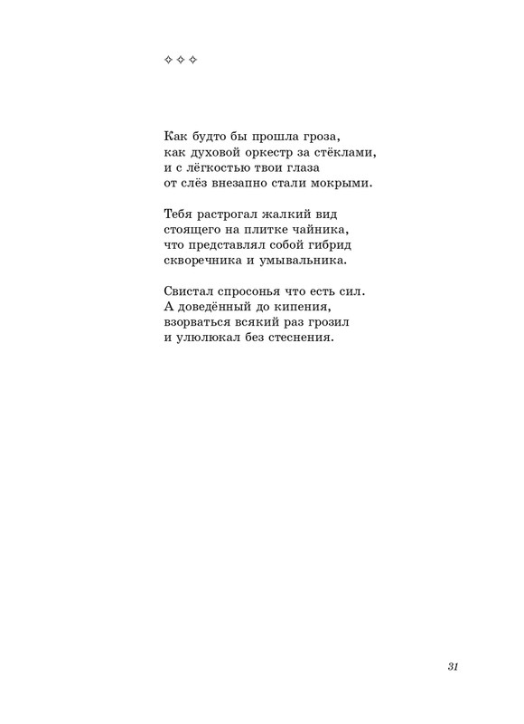 salimon-za-litsevoyu-storonoi-pejzazha-2011-page-0032