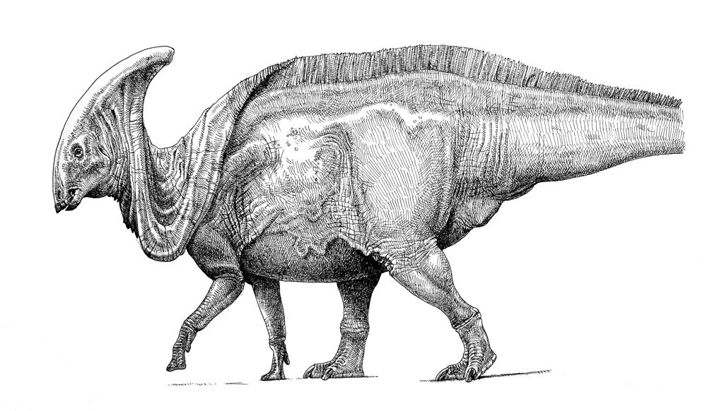 f27028759f38843e8348c339d7b58f66