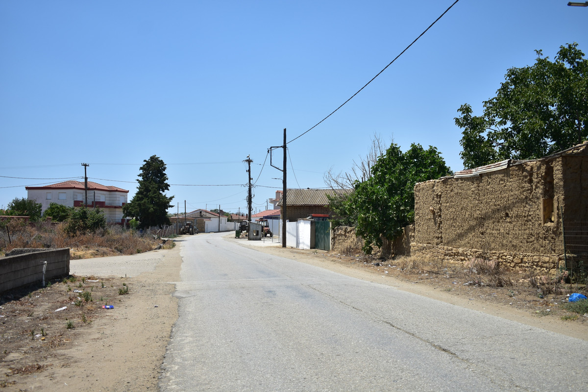 Αμάραντα (6)