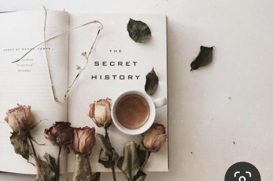 Screenshot_20240502_231919_Pinterest