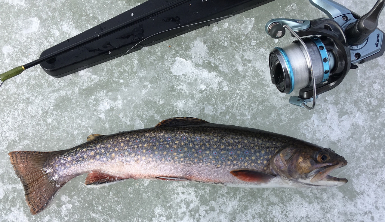 6DF3A07C-F0E3-4B59-BDE8-BE377ED94B76