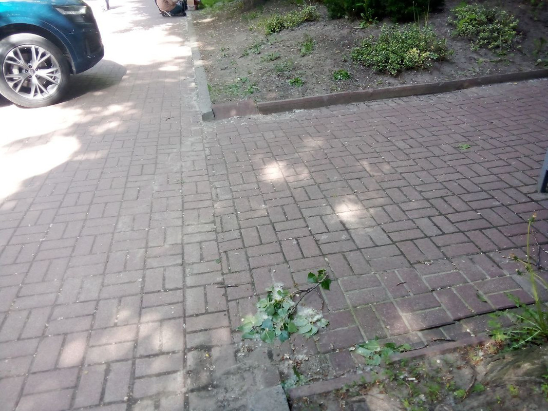 photo_2025-05-17 10.03.21 дп