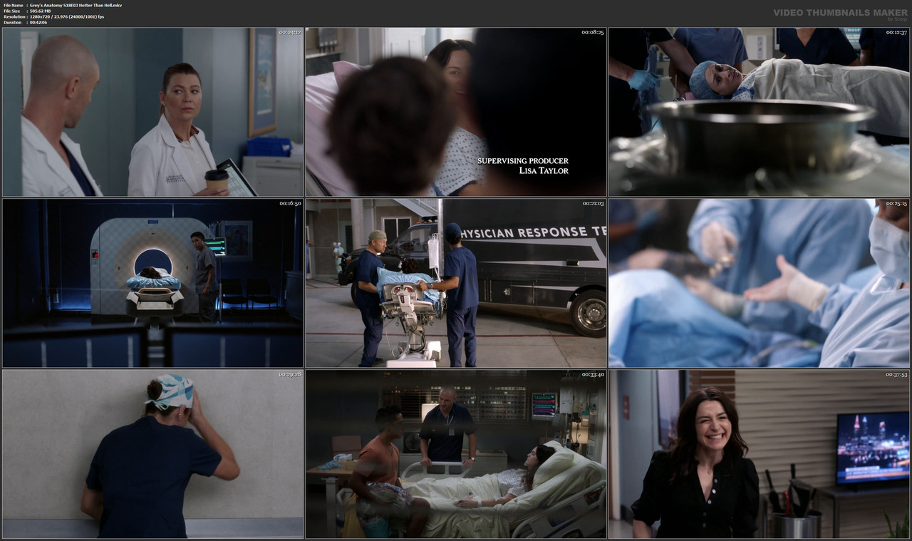 Grey's Anatomy S18E03 Hotter Than Hell.mkv