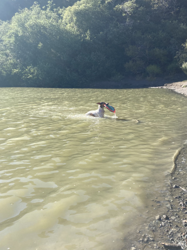 F9608402-8863-4CDE-BA01-88D395213499