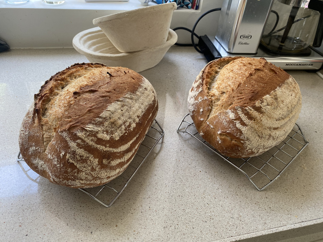 A62088D2-5A15-4A31-B7AD-457DB72CD478