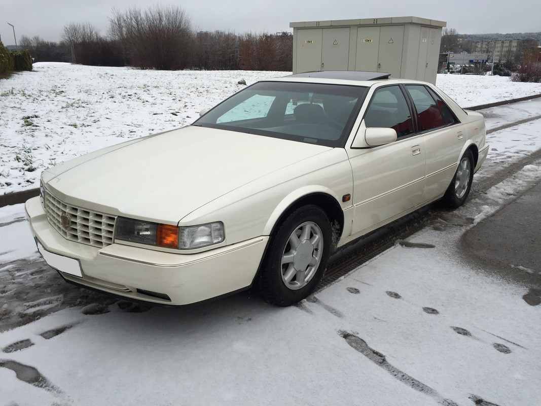 49170021_320304575478879_6070149903038808064_n