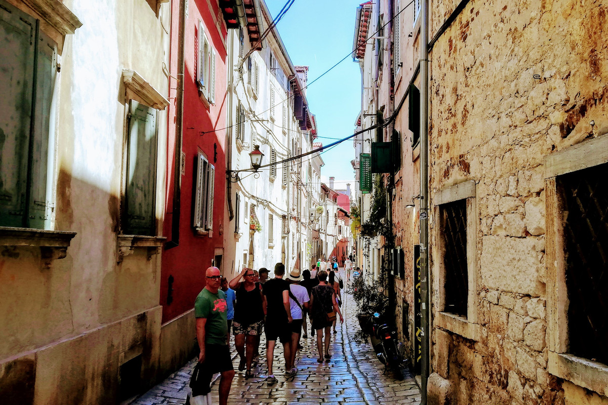 IMG_20220731_131548 (2)