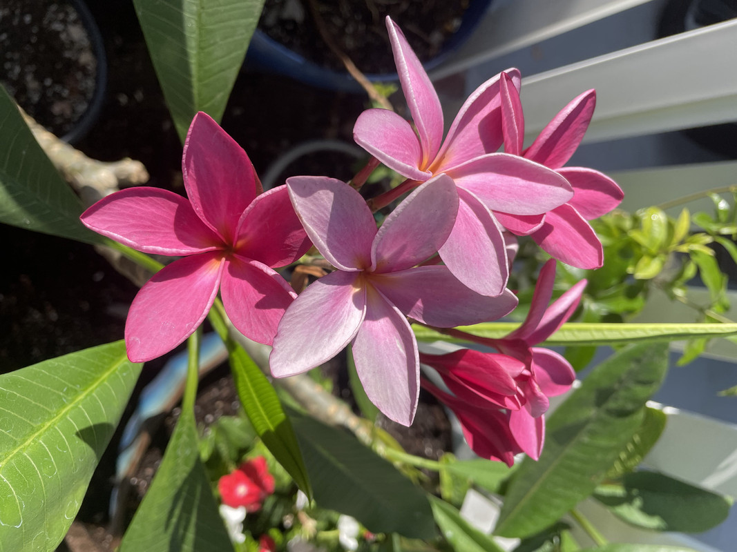 A6CC9E19-69C1-42F6-9F33-4897B740629C