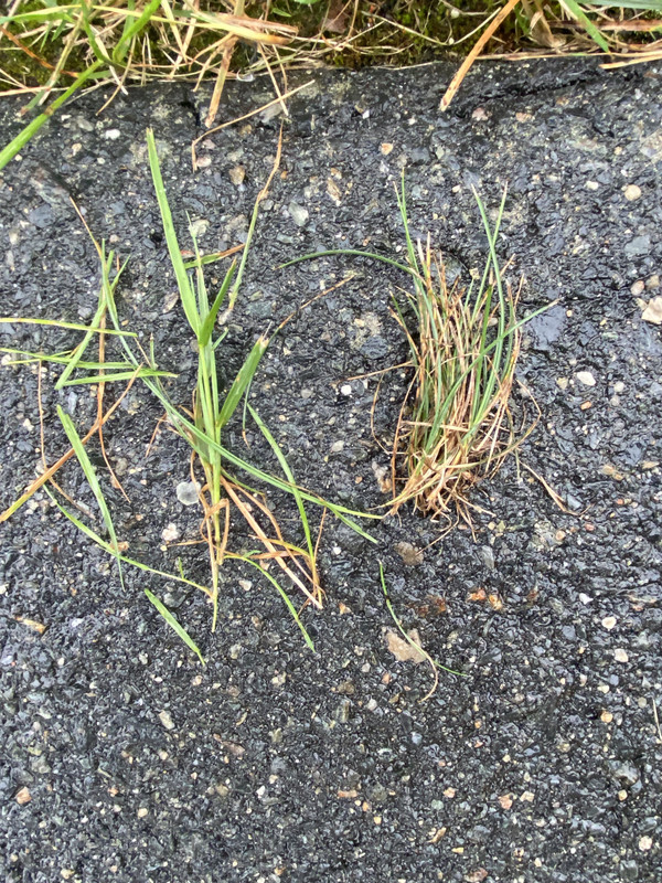 EE840DBD-D9D0-46A8-8623-079C72DC4EEA