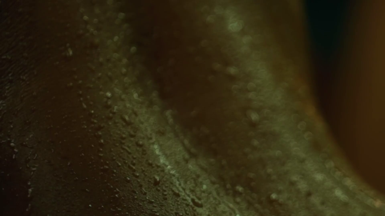 vlcsnap-2024-02-12-16h01m15s318