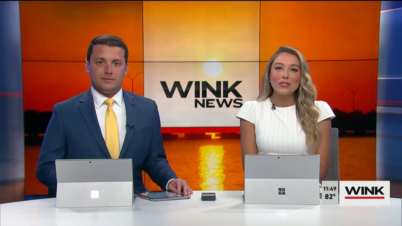 04.02 - 16.30.00 - WINK NEWS at 11 30am  ᴺᵉʷ. Midday news..ts_snapshot_25.28.273