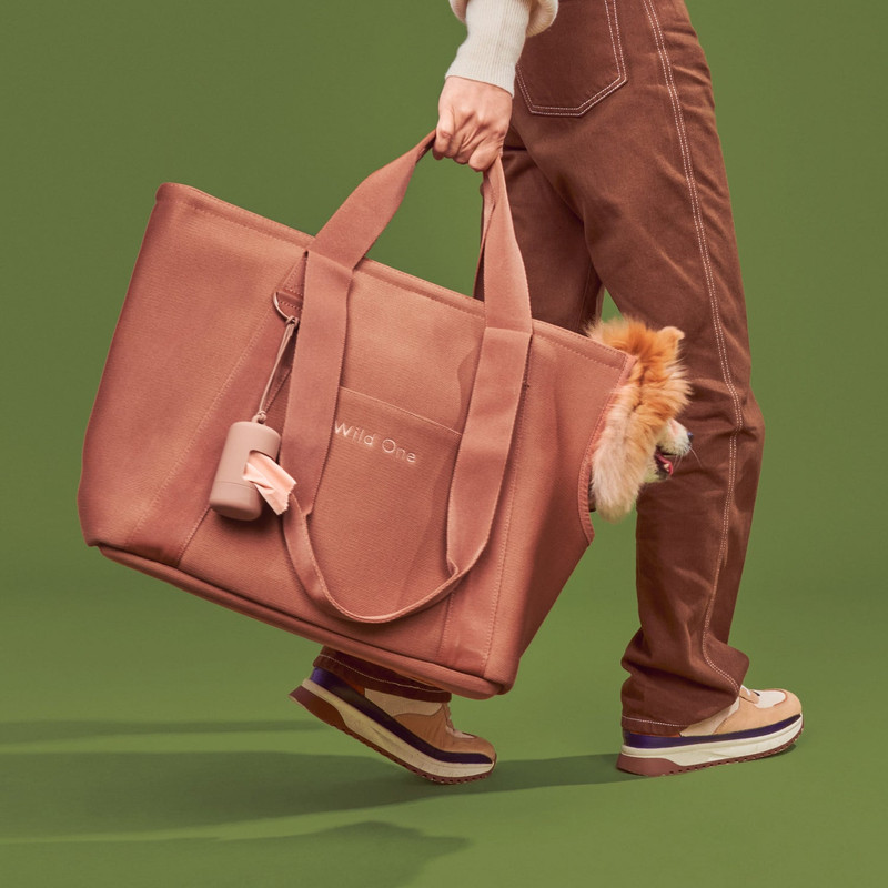 Carry your pet essentials