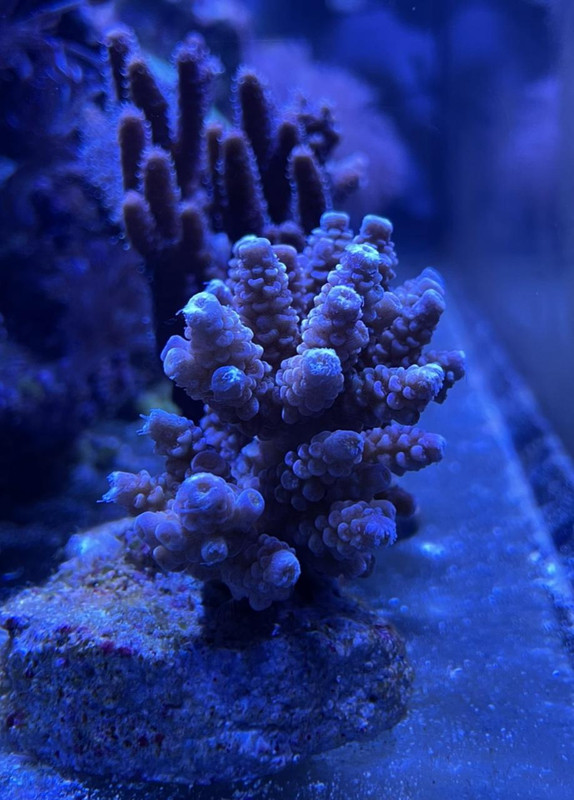 B05E80B9-3FD8-4B74-9A70-5FA63FA46E8D