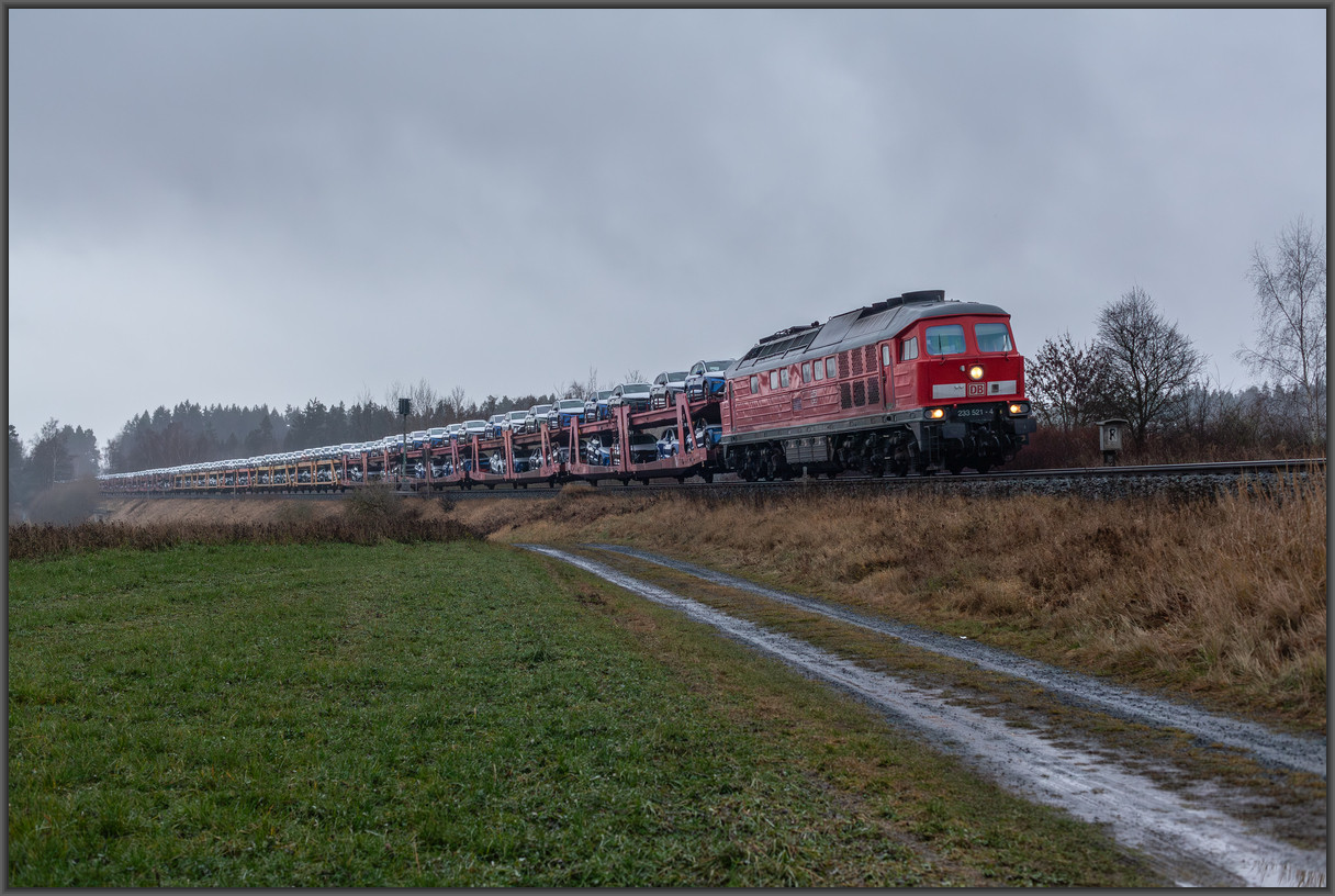 20251208 MG 5594
