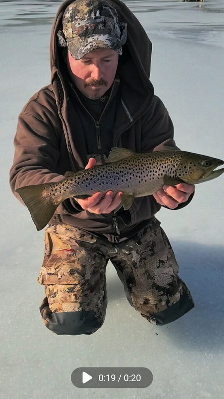 EA79F03F-6F0A-4499-9FD4-AFA60AC27D1B