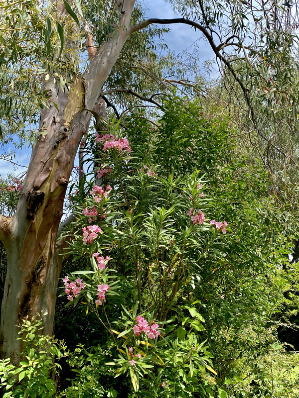 BAB244DD-31FF-4F0B-B687-D467AC67621D