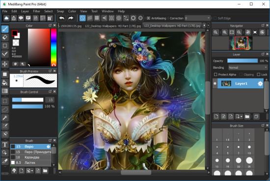 MediBang Paint Pro 24.0 Multilingual
