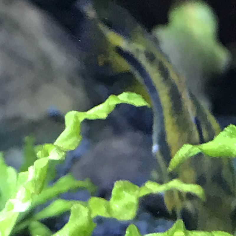 5AF178D4-7483-439D-B027-122779BFC7EB