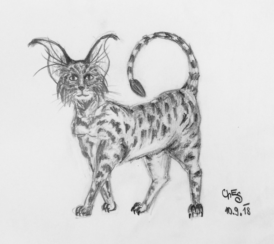 DDED609A-6B70-4DB9-B194-EF937875B872