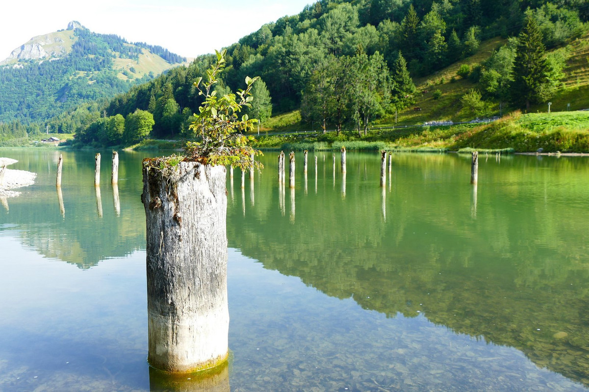 green-river-clear.jpg