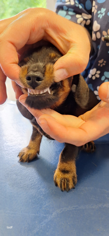 [Image: 20250606-180614.jpg]