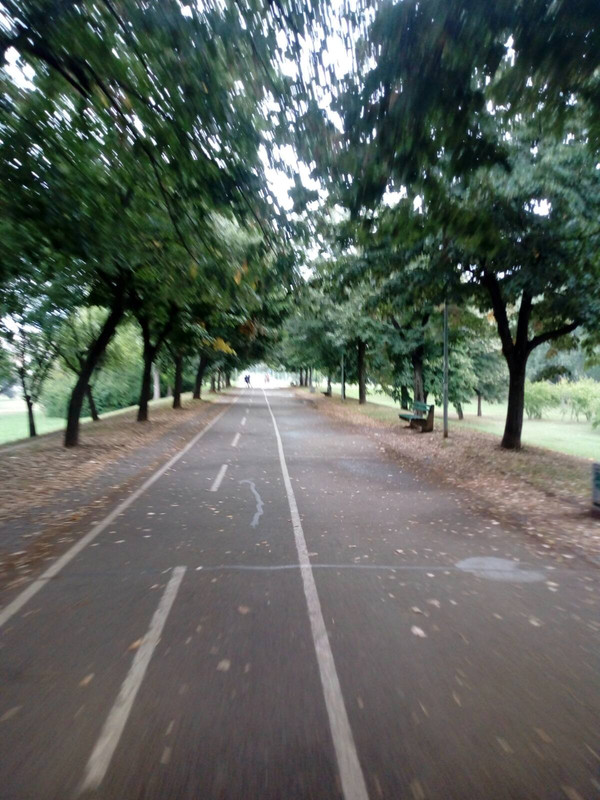 bici03-2020-07-26-21-18-59.jpg