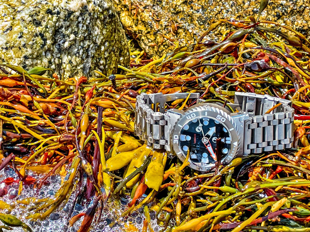 IMG_5277_1 [1600x1200]