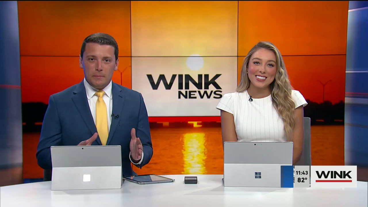 04.02 - 16.30.00 - WINK NEWS at 11 30am  ᴺᵉʷ. Midday news..ts_snapshot_20.10.418