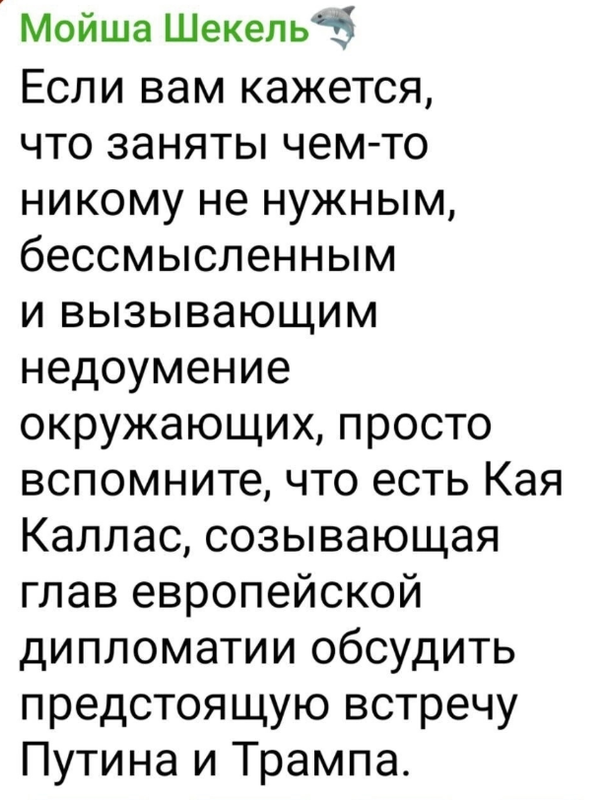 Снимок экрана 2025-08-12 153858
