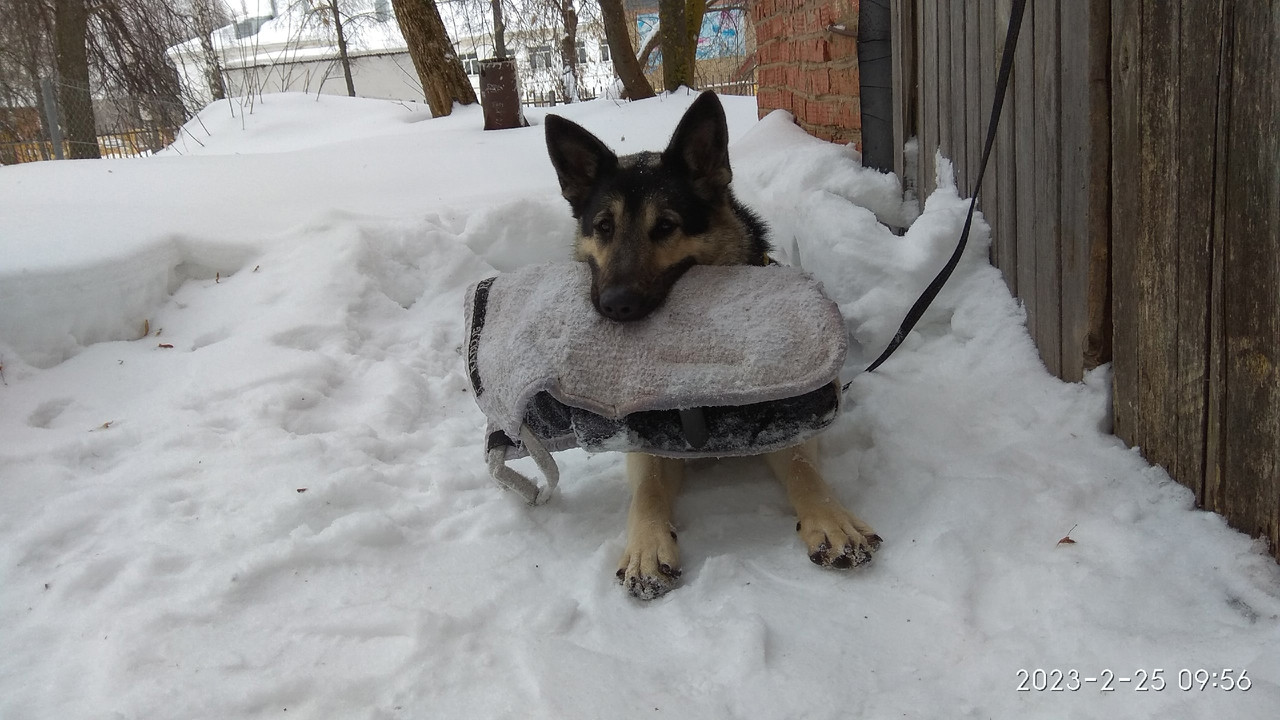 YBv6juSwMNN6EHsNeUr3Q4Z9QgHsZXs6UiQ6XHHg1srxOZ0hpRgti3a8xEy4V1FvyMCnmLJJxOg4NjD1IZ5OL1zl (1)