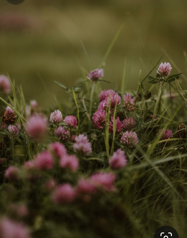 Screenshot_20240331_004108_Pinterest