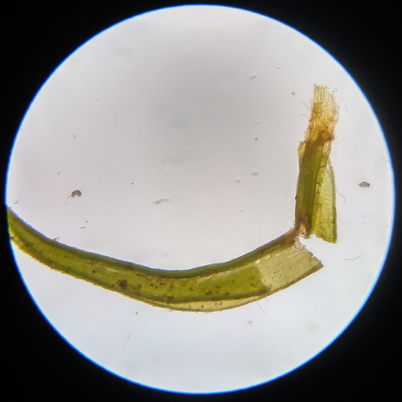 IMG 20250617 123457 HDR