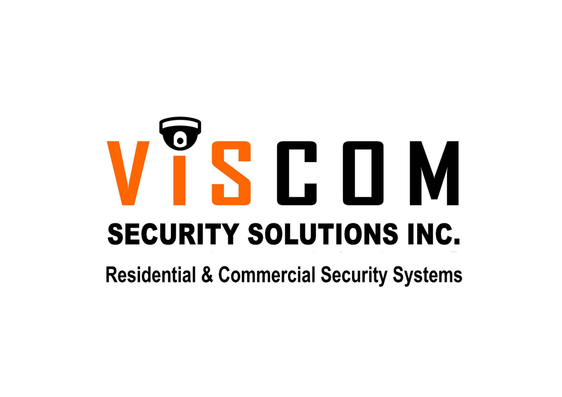 Viscom Security Solutions for businesses in Guyana