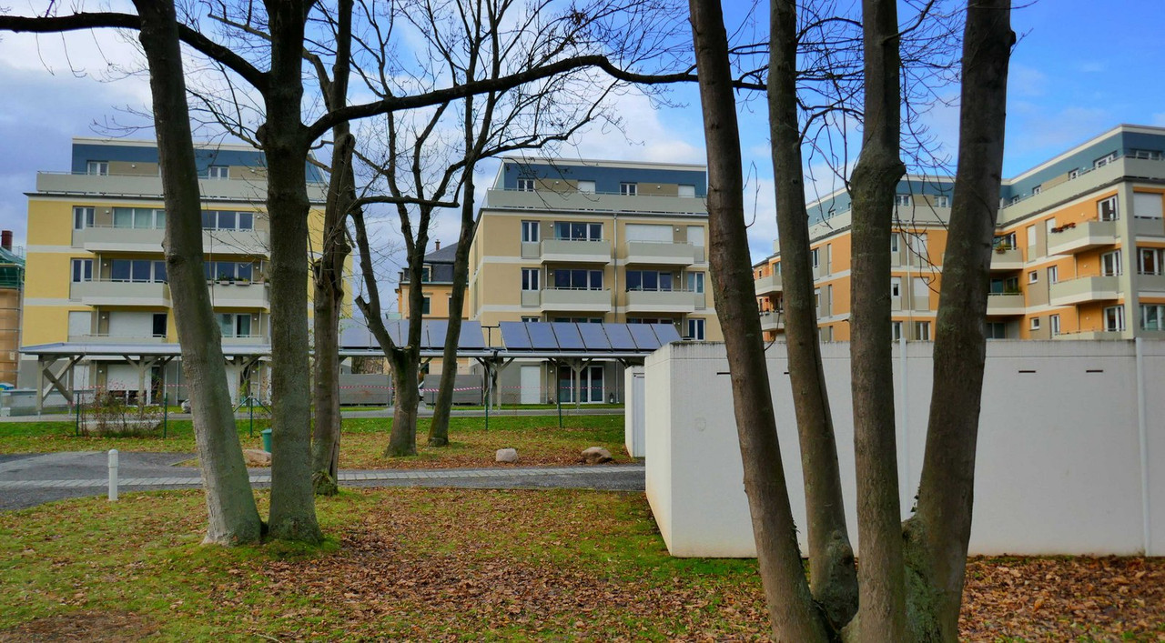 P1130887.jpg