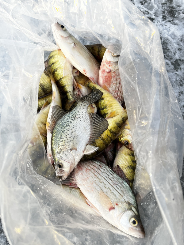 A23CEAB2-83BD-4B49-A3CF-00B93048CD17