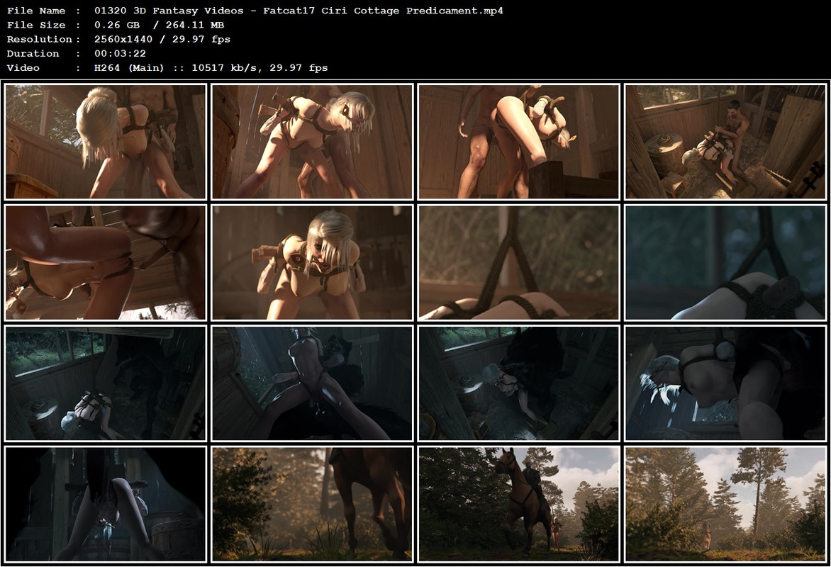 01320 3D Fantasy Videos - Fatcat17 Ciri Cottage Predicament.mp4