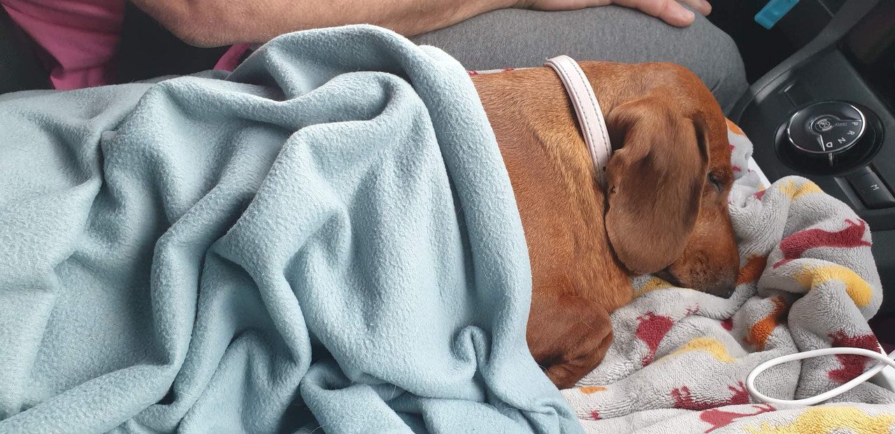 [Image: IMG-20240503-195824.jpg]