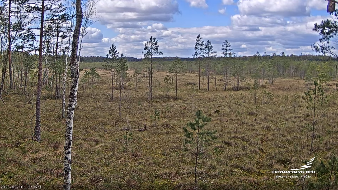 LVM Purvs - Bog 13-14-56 screenshot (1)