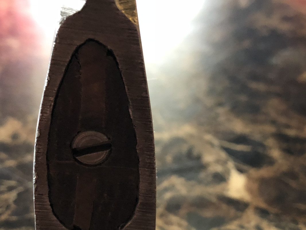 787C8FE9-3865-4D2F-9946-F4D3D79E8613