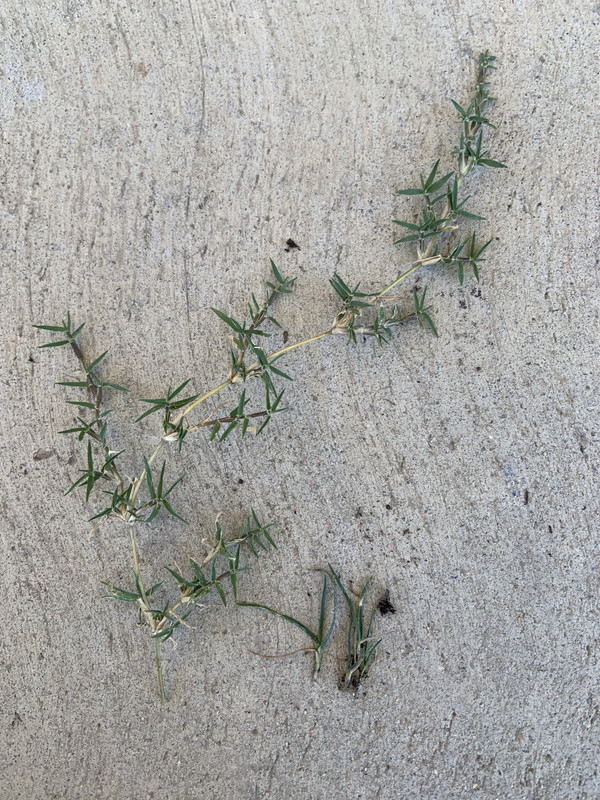 4EDDD886-877A-423B-9539-8F2D731B2467