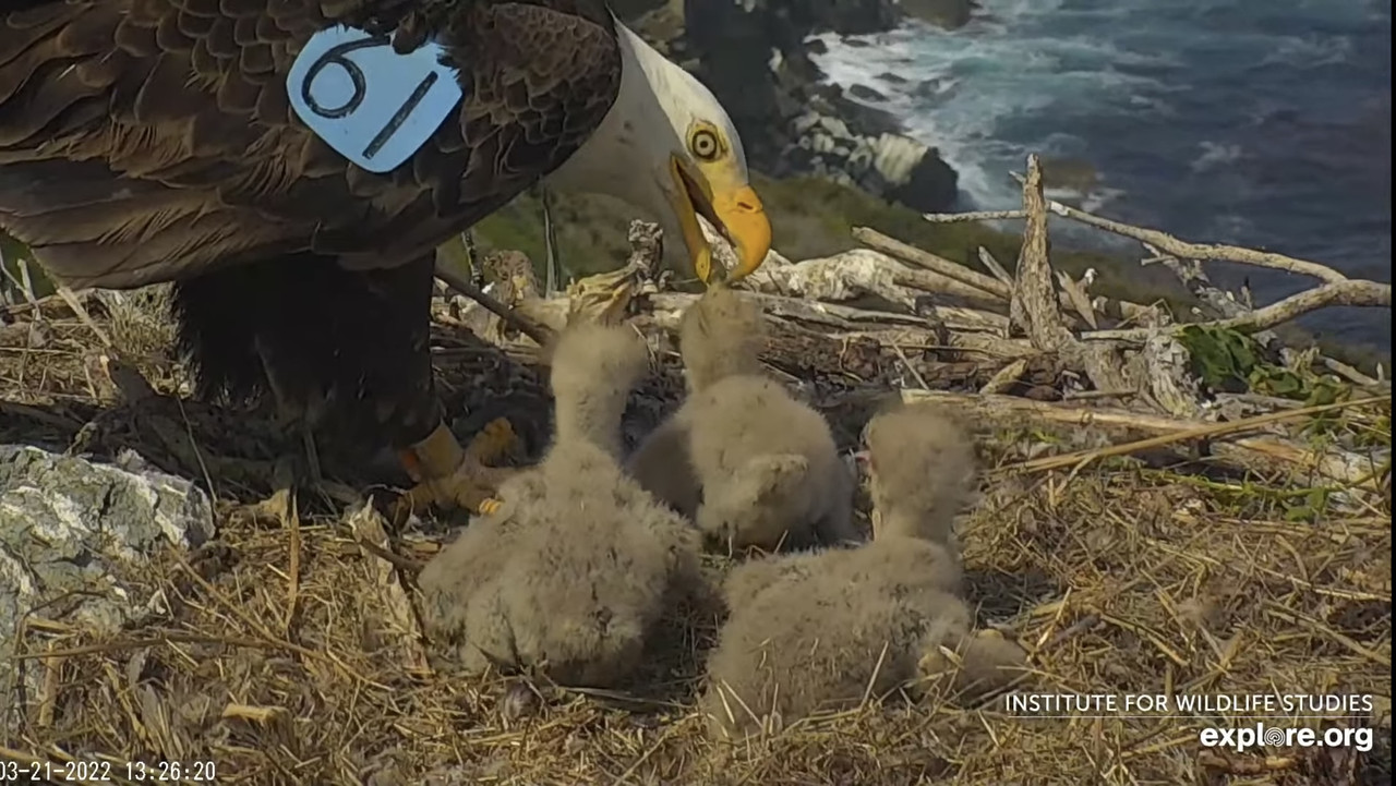 361A2257-5554-4841-AC42-BDE8F3EDBDCB