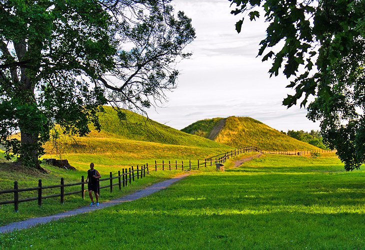 sw-eden-uppsala-gamla-mounds.jpg