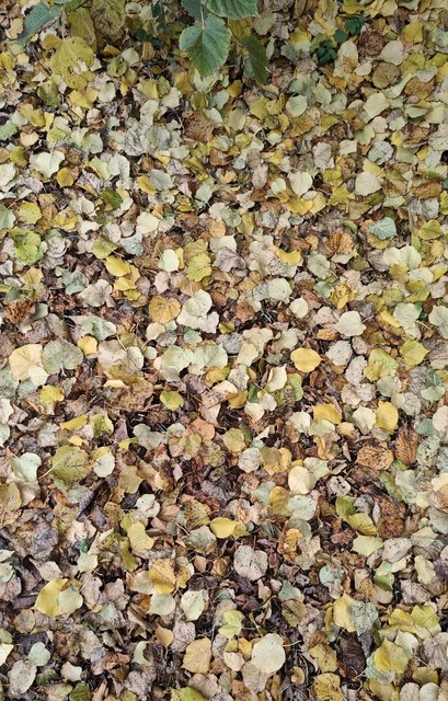 Зображення