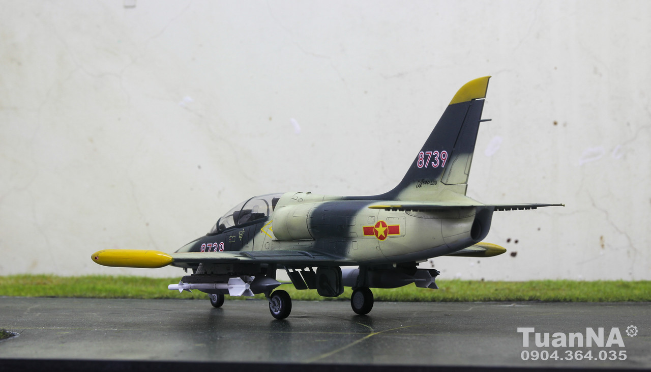 IMG-6719