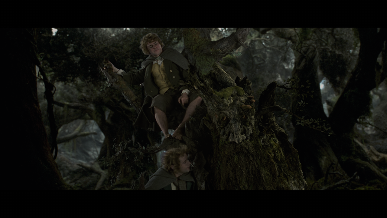 The Lord of the Rings- The Two Towers (EXT.) PT. 1.mkv_snapshot_00.58.47_[2020.12.08_18.05.32]