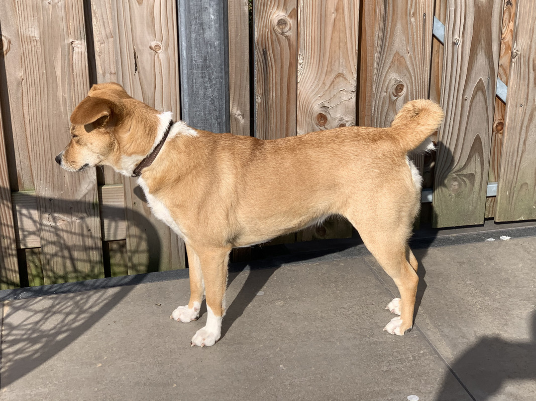 3547F477-7F59-4C0E-98E3-33E95C000761