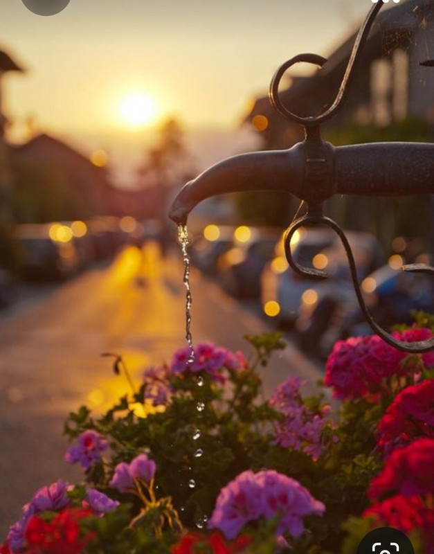 Screenshot_20231002_220419_Pinterest